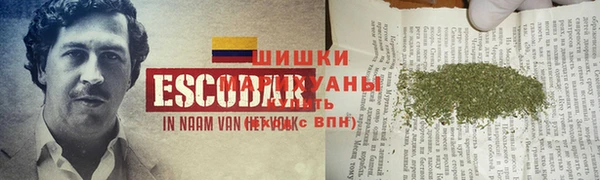 дурь Богданович
