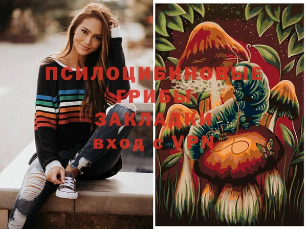 jwh Богородицк
