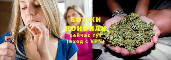 шишки Богородск